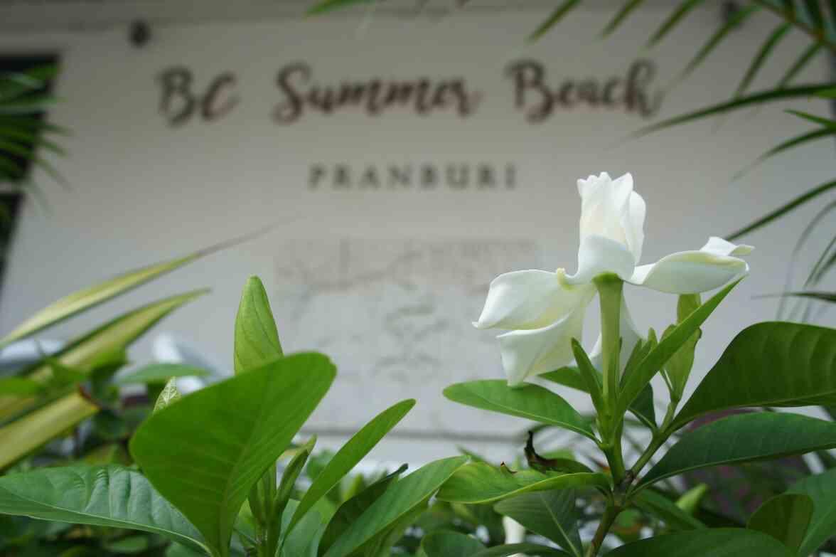 Bc Summer Beach Pran Buri Exterior photo
